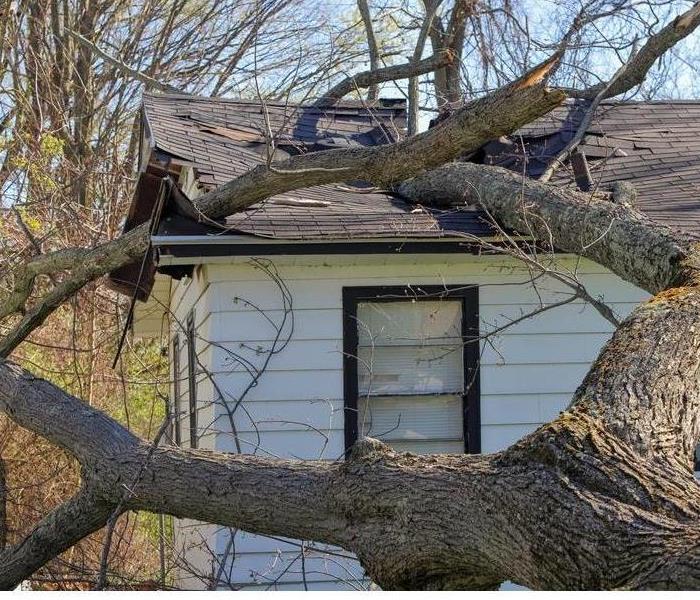 Tree fallen over from storm damage crushing roof of white house